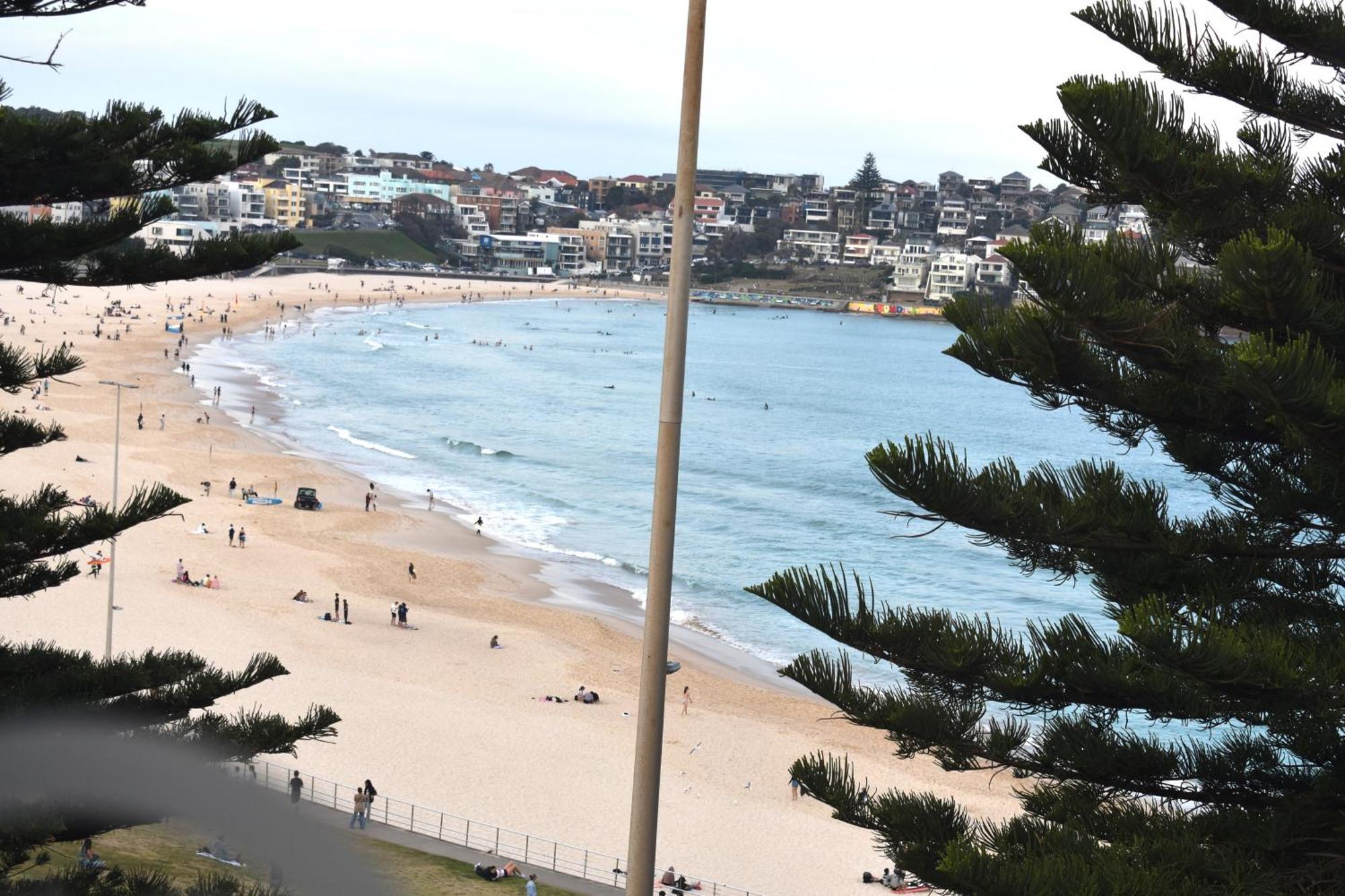 Bondi 38 Serviced Apartments Sidney Exterior foto