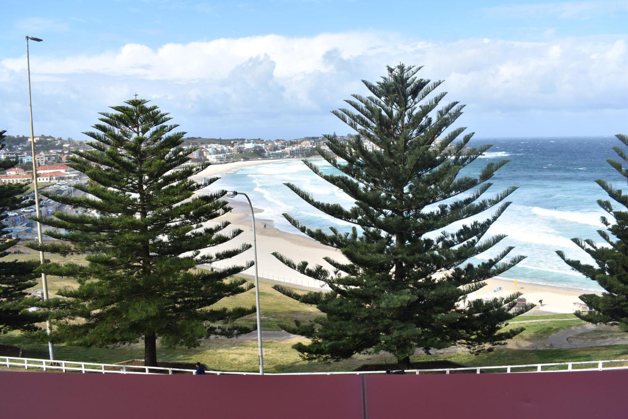 Bondi 38 Serviced Apartments Sidney Exterior foto