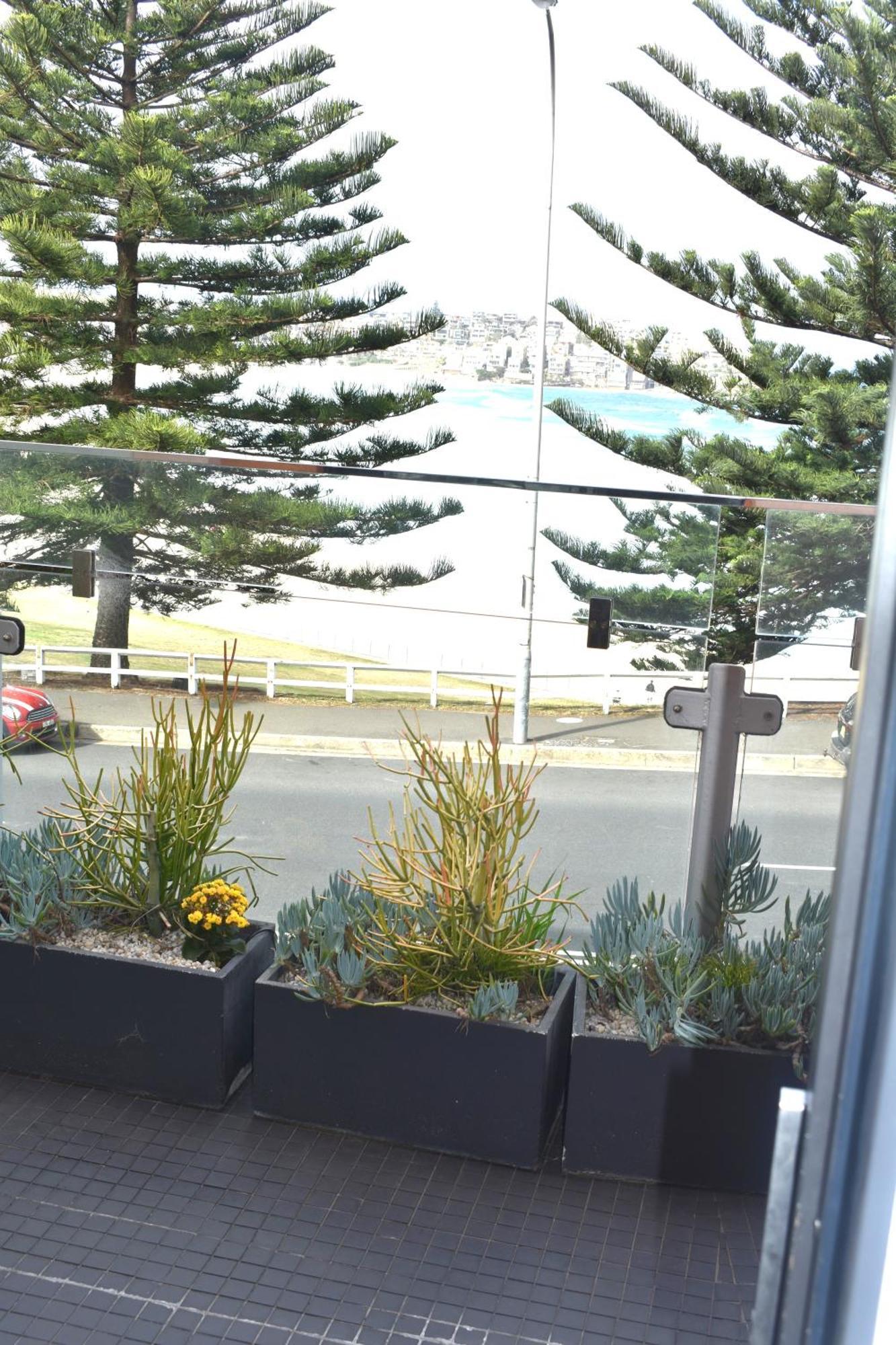 Bondi 38 Serviced Apartments Sidney Exterior foto